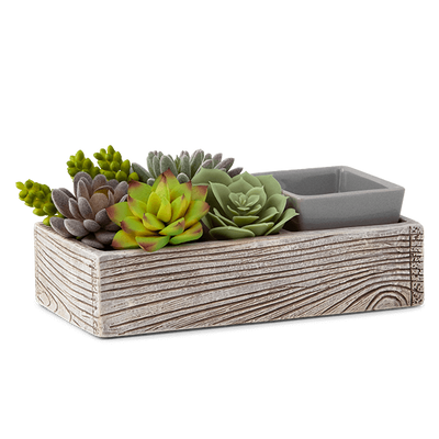 Suc-cute-lent Warmer